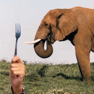 how to eat an elephant: how to get started with machine learning in demand forecasting