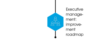 demand planning assessment: Executive management: improvement roadmap