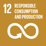 SDG 12: responsible consumption and production